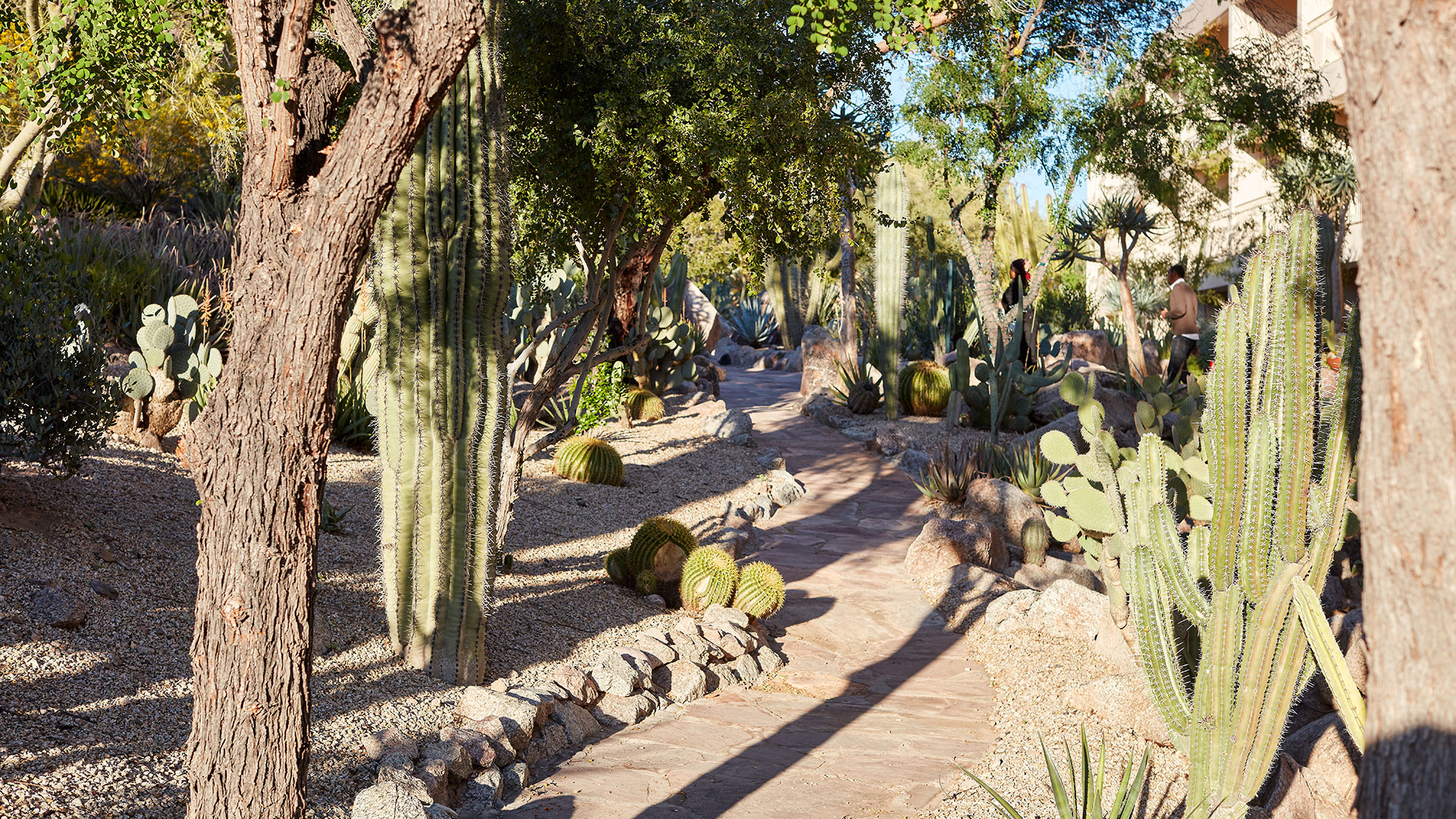 Patios overlook the Cactus Garden and provide views of Camelback Mountain's flora and fauna.