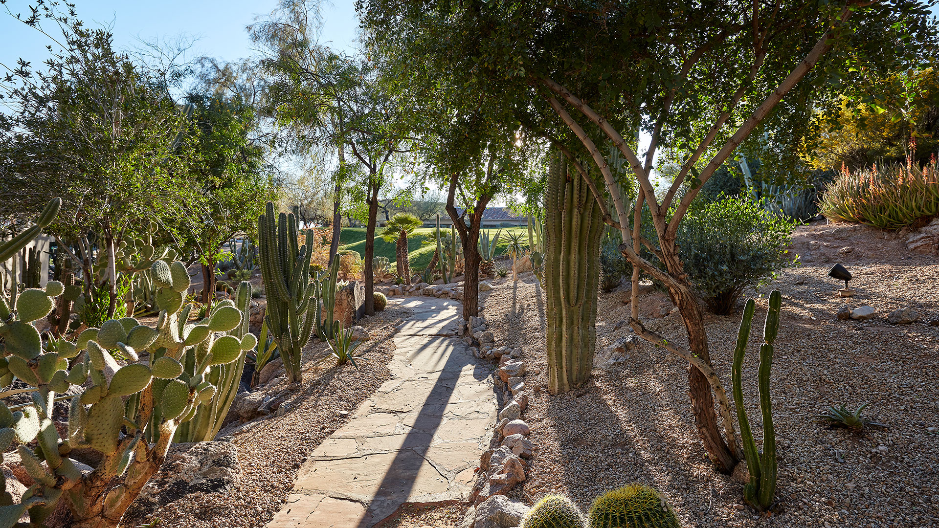 Patios overlook the Cactus Garden and provide views of Camelback Mountain's flora and fauna.